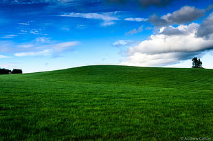 green grassy hill under blue sky HD wallpaper