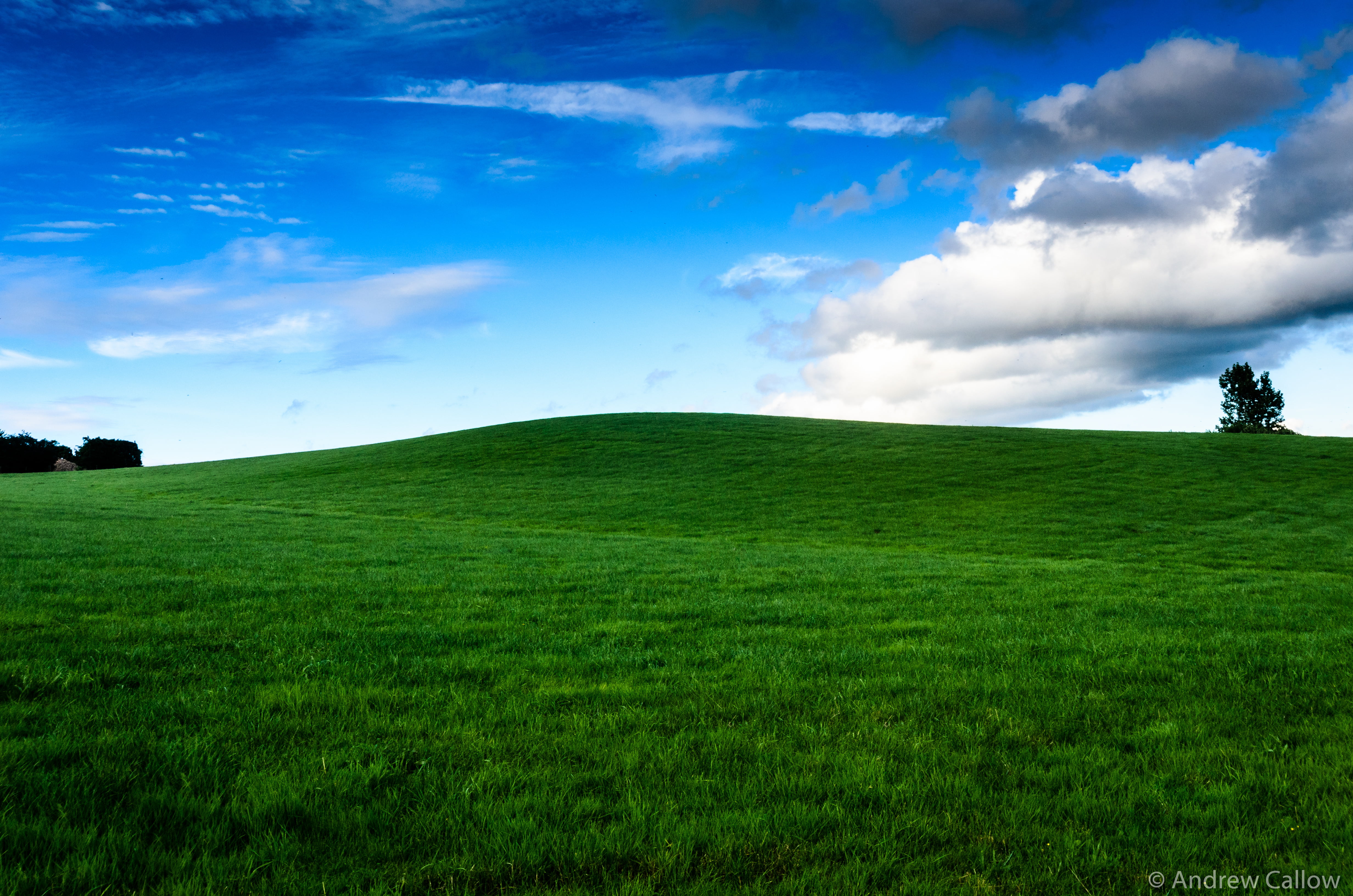 Green grassy hill under blue sky HD wallpaper | Wallpaper Flare