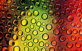 Drops,  Colors,  Circles HD wallpaper