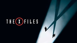 The X Files illustration, The X-Files, Dana Scully, Gillian Anderson, David Duchovny HD wallpaper