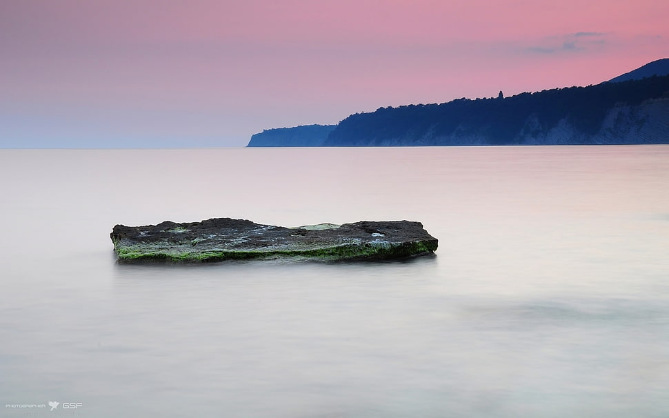 brown wood log floating on sea during daytime HD wallpaper