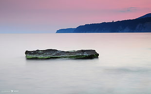 brown wood log floating on sea during daytime