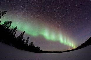 green aurora borealis, nature, snow, aurorae, stars