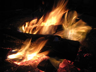 fire burning wood HD wallpaper
