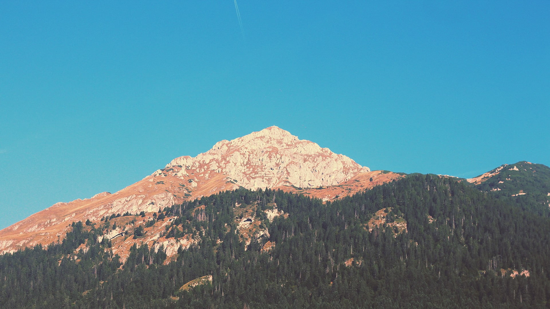 green leafed trees, mountains, nature, Italy, landscape