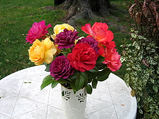 red, purple, yellow, and pink Rose flower on cylindrical white vase on table