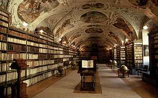 library, books, library, shelves, interior