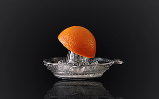 orange slice on clear citrus juicer