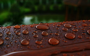water droplets on brown wooden surface macro photography