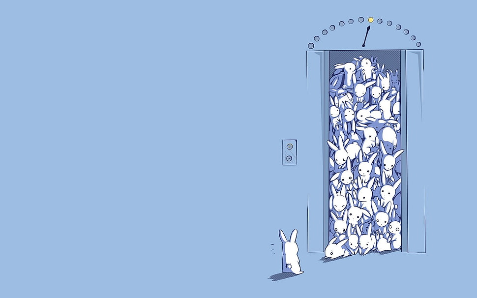 white animals HD wallpaper