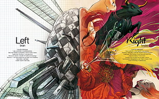 left and right brain illustration, splitting, abstract, brain, anatomy HD wallpaper
