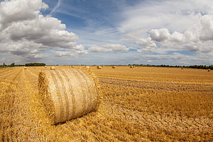 landscape photography of bale of hay on wheat field under cumulus clouds during daytime HD wallpaper