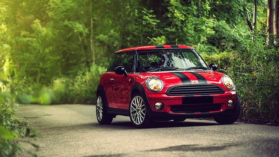 red and black Mini Cooper on road HD wallpaper