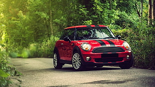 red and black Mini Cooper on road