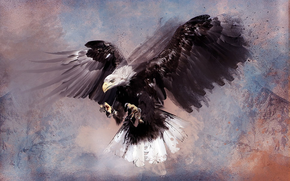 bald eagle multicolored painting, eagle, artwork HD wallpaper