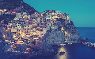 houses on mountain, Manarola, Cinque Terre, Italy, town HD wallpaper