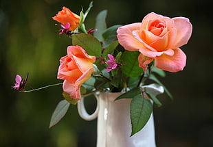 peach Rose flower centerpiece in closeup photo