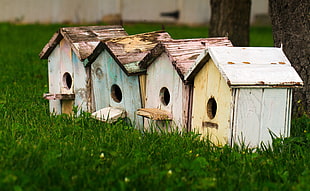 four brown wooden pet houses