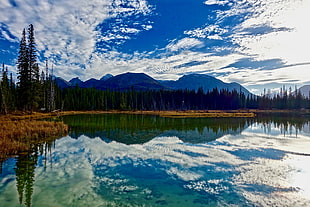 lake beside trees near mountain under white clouds blue sy