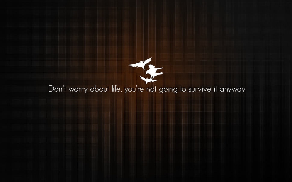 don't worry about life text, quote HD wallpaper
