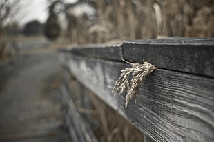 selective focus photography of brown hay on fence