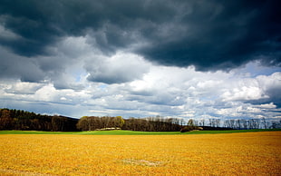 landscape photography of green field and forest under blue cloudy sky