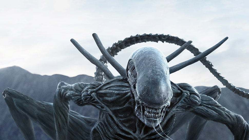 Alien movie scene HD wallpaper