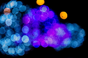 blue and purple bokeh lights