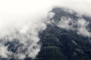 mountain covered with clouds, landscape, nature