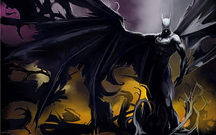 Batman poster, Batman, DC Comics HD wallpaper