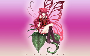 pink haired fairy anime girl wallpaper