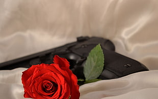 black semi-automatic pistol with red rose