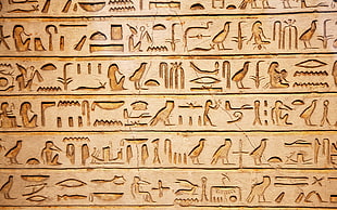 Egyptian hieroglyphics, architecture, ancient, Egypt, Africa HD wallpaper