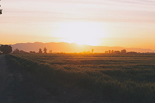 photo of sunset view