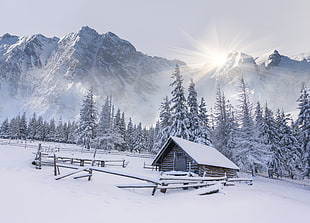 house covering with snow, winter, mountains