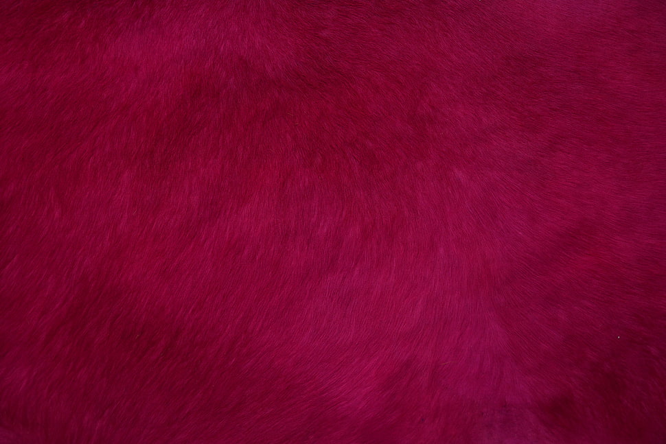 red and white area rug HD wallpaper