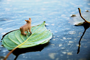 brown pig figurine on top of green leaf