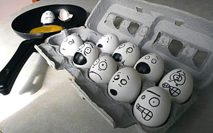 white eggs in case