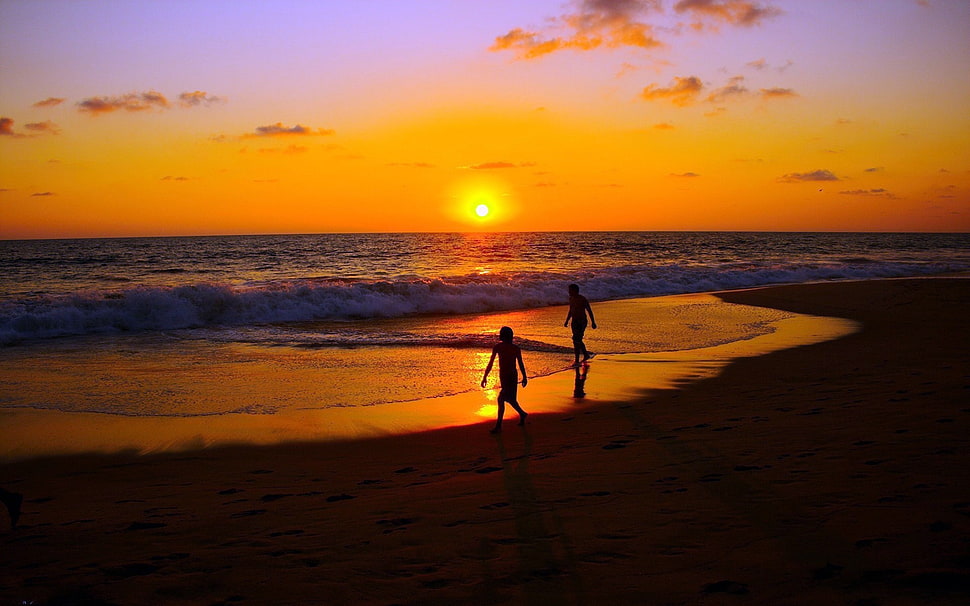 Silhouette of two person on sea shore HD wallpaper