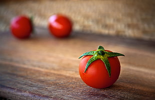 red round tomato HD wallpaper