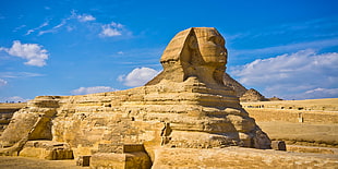 The Great Sphinx of Giza under blue sky HD wallpaper