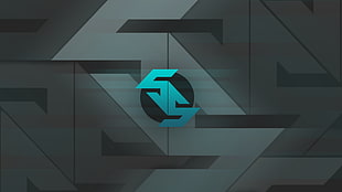 logo guessing game screenshot, Counter-Strike: Global Offensive, spes salutis, CS:GO Team HD wallpaper