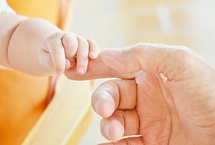 baby's hand holding adult hand photo HD wallpaper