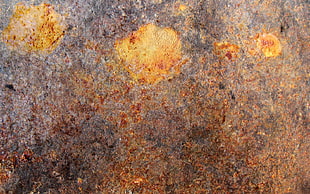 closeup photo of concrete surface HD wallpaper