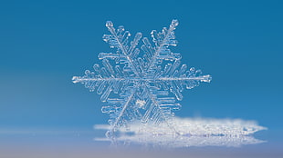 close-up photo of crystal snowflake HD wallpaper
