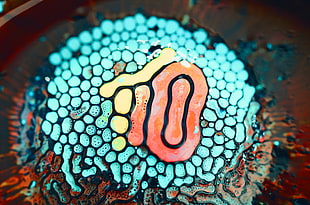 selective focus photography of slug on teal mollusk