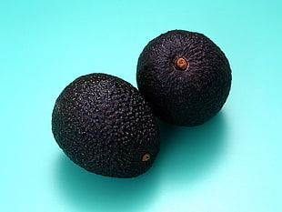 two round black fruits HD wallpaper