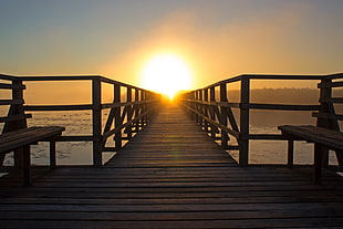 brown wooden dock near body of water HD wallpaper