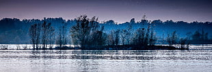 landscape photo of lake body of water and trees