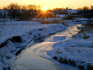 snow covered ground and plants during golden hour